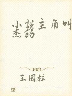 小说主角叫李伟杰的