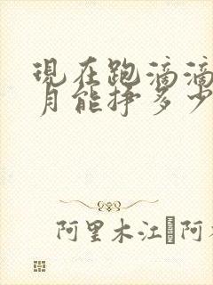现在跑滴滴一个月能挣多少钱