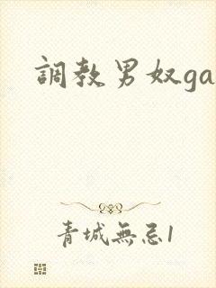 调教男奴gay