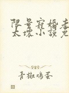 限量宠婚老公别太坏小说免费阅读