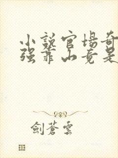 小说官场奇才最强靠山竟是我自己李澜免费