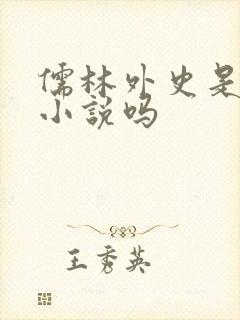 儒林外史是历史小说吗