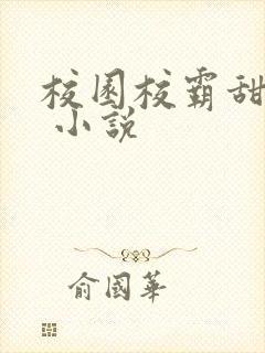 校园校霸甜宠文 小说