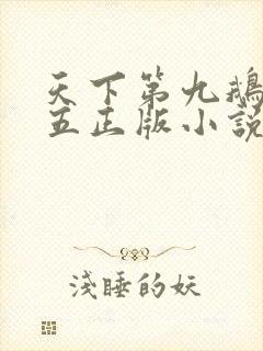 天下第九鹅是老五正版小说