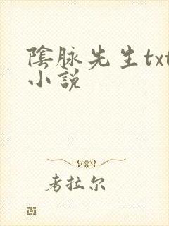 阴脉先生txt小说