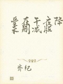 爱在午夜降临前未删减版