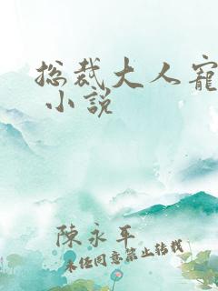 总裁大人宠入骨 小说