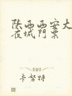 陕西西安大唐不夜城门票