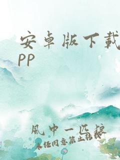 安卓版下载的app