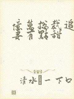 亿万总裁追妻鲜妻有点甜