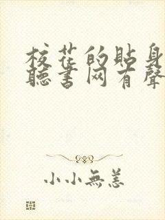 校花的贴身高手听书网有声小说