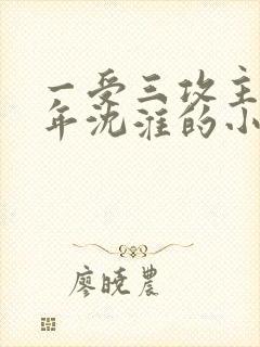 一受三攻主角沈年沈淮的小说叫什么