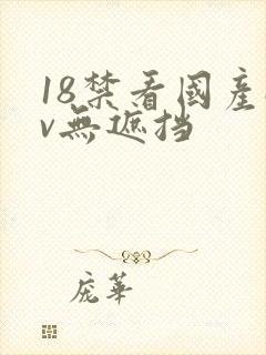 18禁看国产av无遮挡