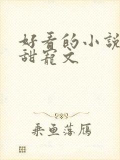 好看的小说言情甜宠文