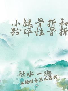 小腿骨折和脚踝粉碎性骨折能评几级伤残