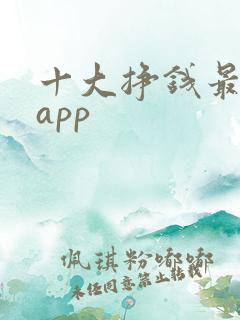 十大挣钱最快的app
