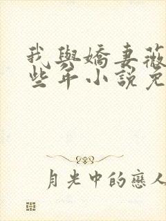 我与娇妻薇薇这些年小说免费阅读笔趣阁