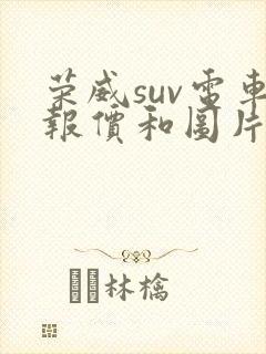 荣威suv电车报价和图片