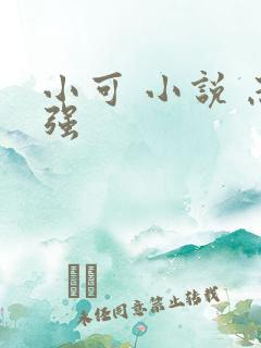 小可 小说 志强