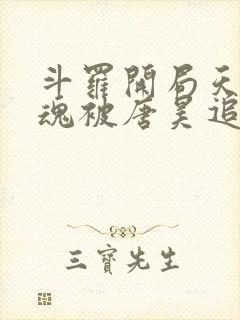 斗罗开局天使武魂被唐昊追杀下载