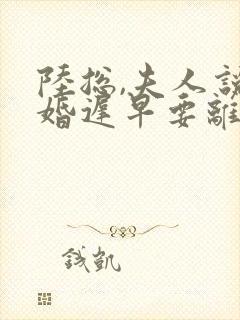陆总,夫人说这婚迟早要离小说