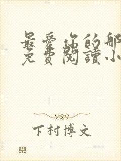 最爱你的那十年免费阅读小说