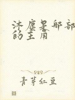 沐尘是哪部小说的主角