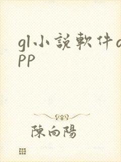 gl小说软件app