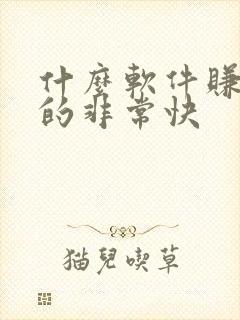 什么软件赚钱赚的非常快 什么软件赚钱赚的非常快
