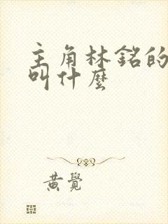 主角林铭的小说叫什么