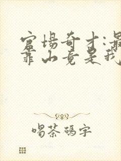 官场奇才:最强靠山竟是我自己李澜小说在
