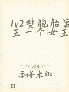 1v2双胞胎男主一个女主的小说