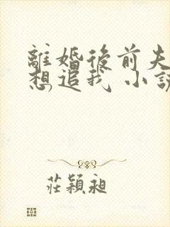 离婚后前夫总是想追我 小说下载txt