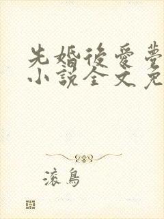 先婚后爱梦筱二小说全文免费阅读