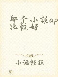 哪个小说app比较好