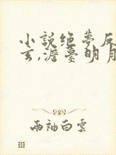 小说绝梦反派叶玄,澹台明月