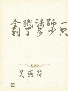 全职法师一共找到了多少只图腾