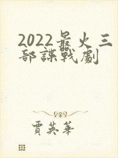 2022最火三部谍战剧