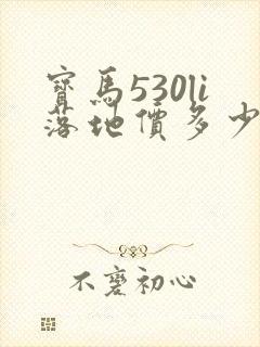 宝马530li落地价多少