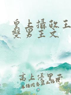 皇上摄政王小说双男主文