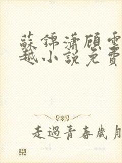 苏锦潇顾云浅穿越小说免费阅读无弹窗
