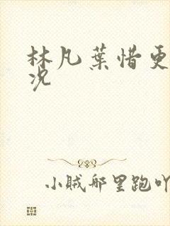林凡叶惜更新情况