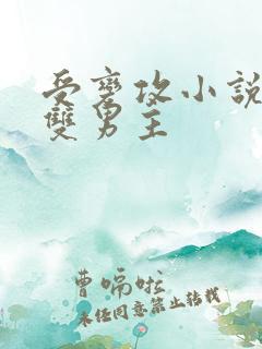 受变攻小说推荐双男主