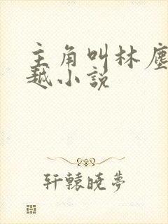 主角叫林尘的穿越小说