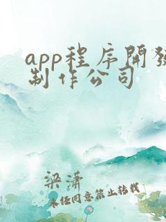 app程序开发制作公司