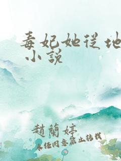 毒妃她从地狱来 小说