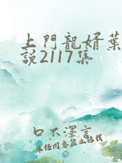 上门龙婿叶辰小说2117集