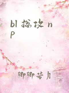 bl 总攻 np