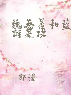 魏无羡和蓝忘机谁是攻