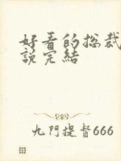 好看的总裁文小说完结 好看的总裁文小说完结